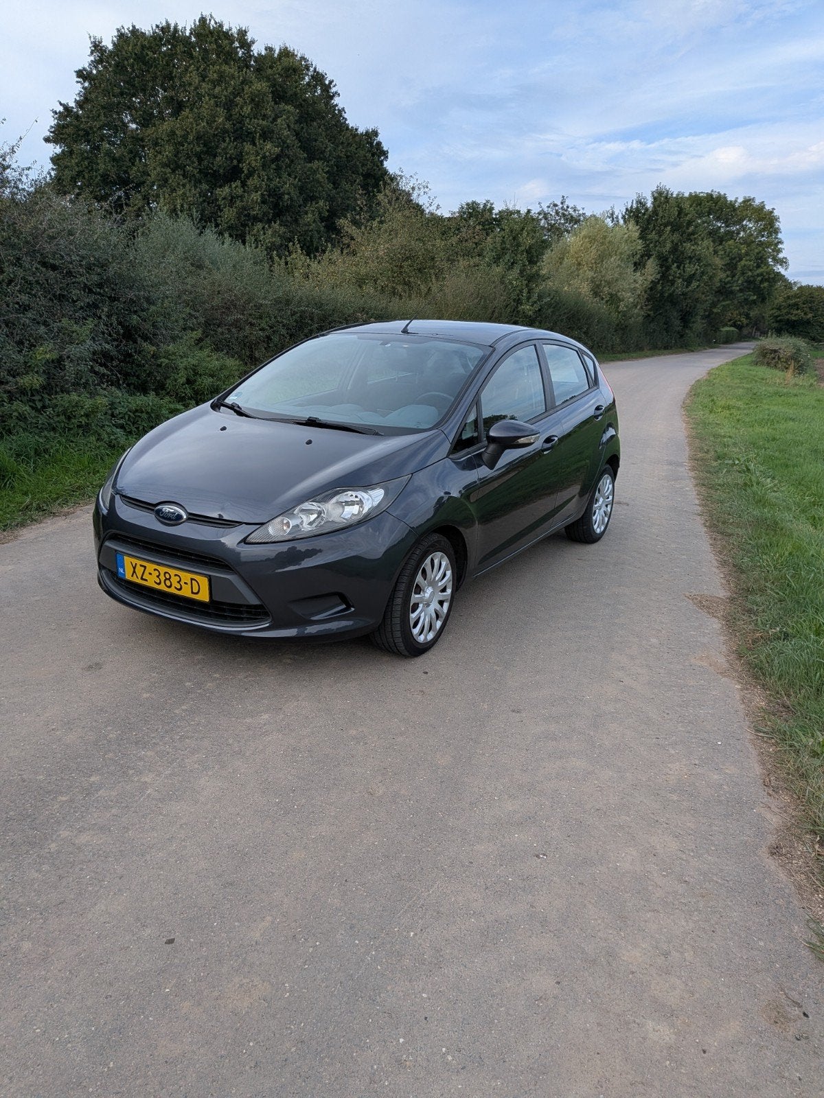 Ford Fiësta 1.25 60KW 5DR 2010 Grijs, Voorwielaandrijving, 1242 cc, Handgeschakeld, Particulier