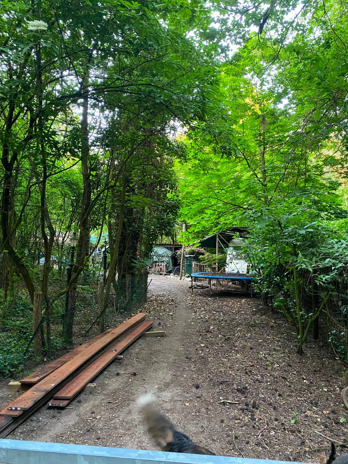 Huis en tuinhulp gevraagd