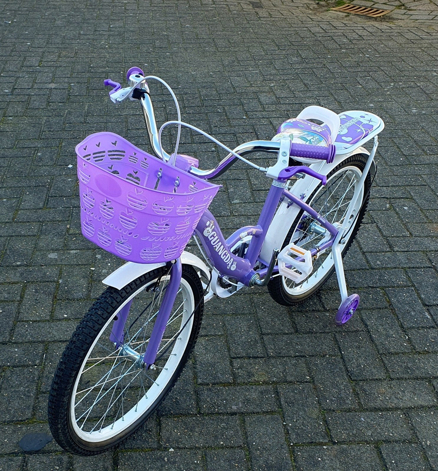 Nieuwe stoere meisjesfiets 20 inch (NIEUW IN DOOS), Meisjesfiets, Nieuw, Ophalen of Verzenden, Handrem