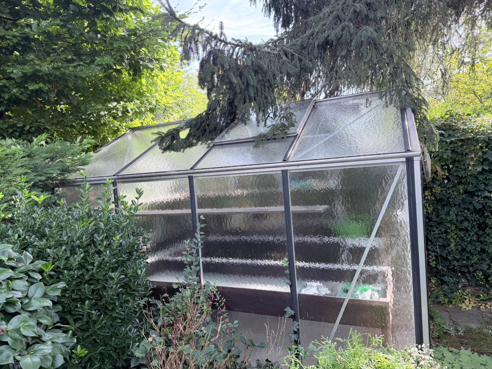 Glazen kas, Ophalen, Glas, Zo goed als nieuw, Aluminium