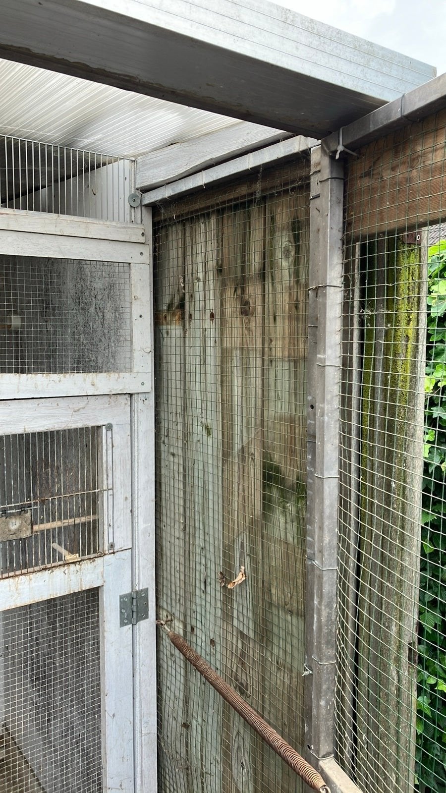 2 vogelrennen, Ophalen, Hout, Vogelkooi