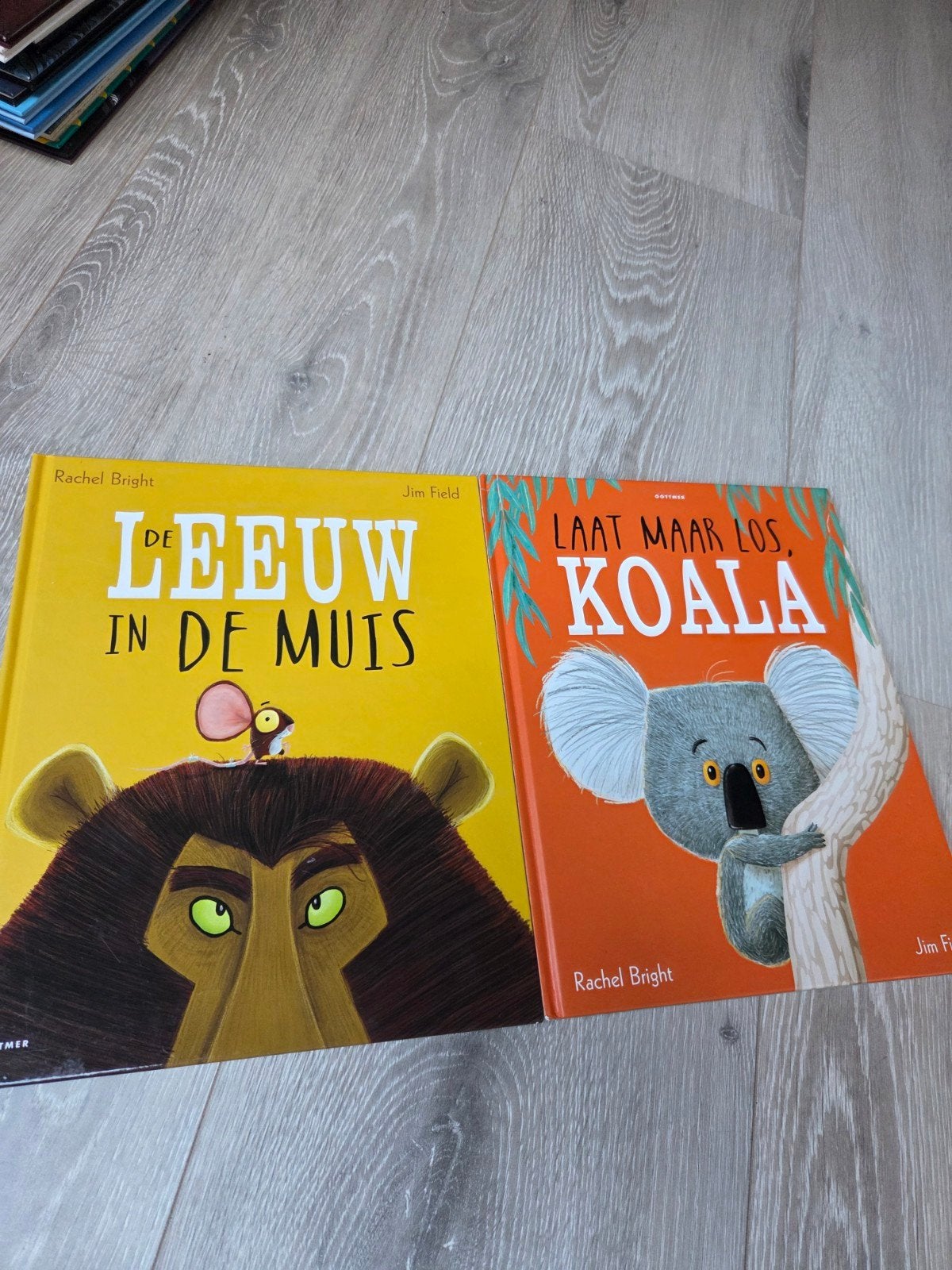 2x Rachel Bright prentenboeken, Boeken, Ophalen of Verzenden, Zo goed als nieuw