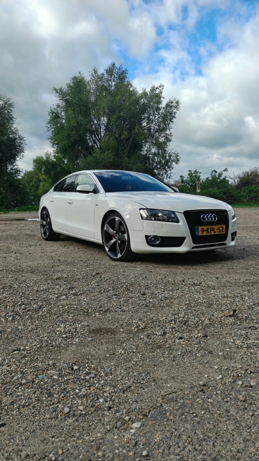 Audi A5 2.7 TDI 140KW Sportback M.tronic 2010 Wit, Auto's, 15 km/l, 190 pk, 2698 cc, 4 stoelen