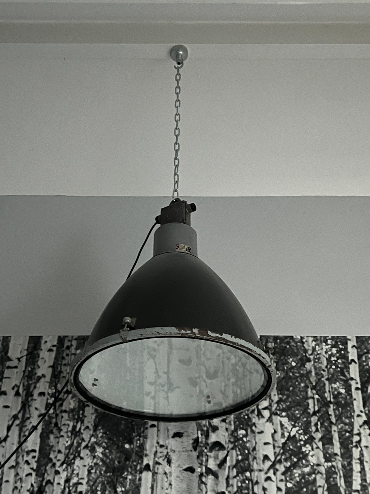 Industriële fabriekslamp met E27 fitting en philps Hue lamp, Ophalen, Gebruikt, Industrieel, Minder dan 50 cm