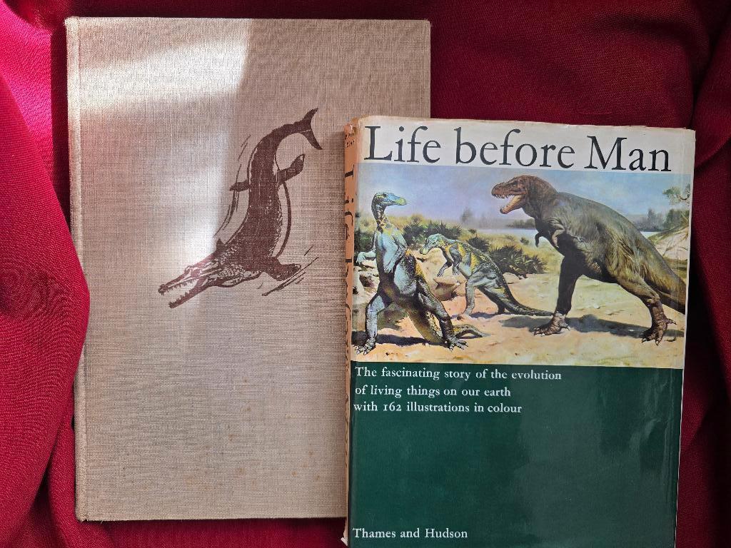 Prehistorische dieren - Tekeningen van Zdenek Burian, Boeken, Ophalen of Verzenden, Gelezen, Overige diersoorten, Zdenek Burian
