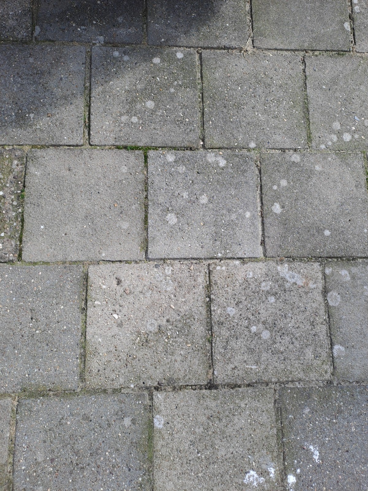 stoeptegels ca 23m2, Ophalen, Gebruikt, Beton, Terrastegels
