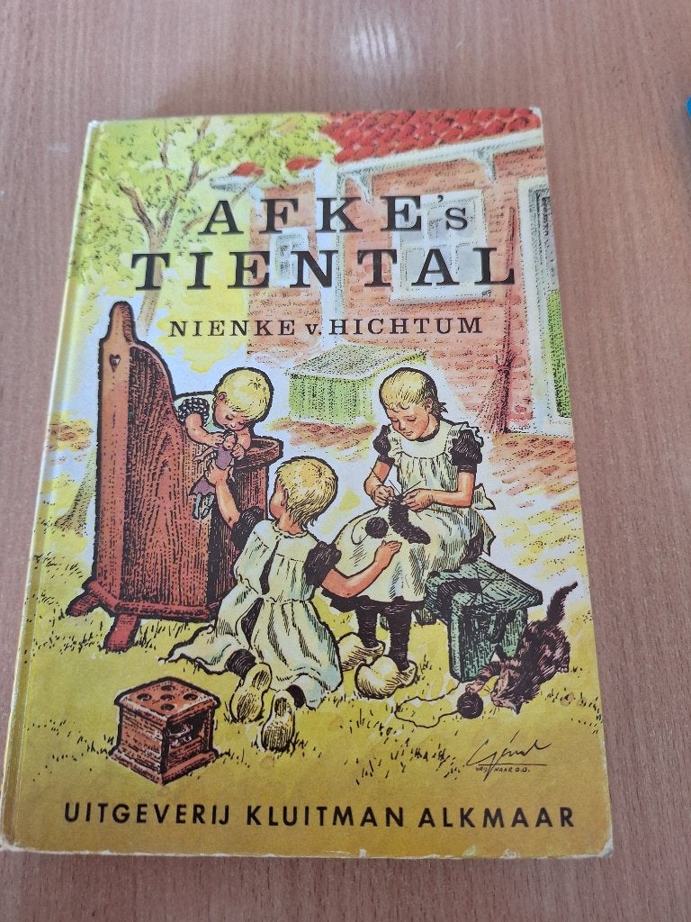Nienke v. Hichtum - Afke's tiental, Boeken, Ophalen of Verzenden, Gelezen, Nienke v. Hichtum, Fictie