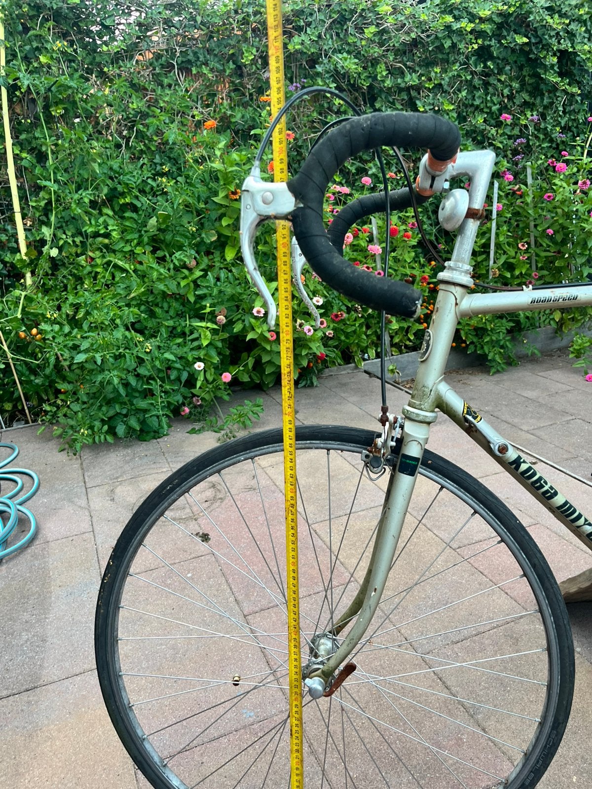 Koga miyata road speed, 59 cm of meer, Ophalen, Schijfrem, Jaren '60 of nieuwer
