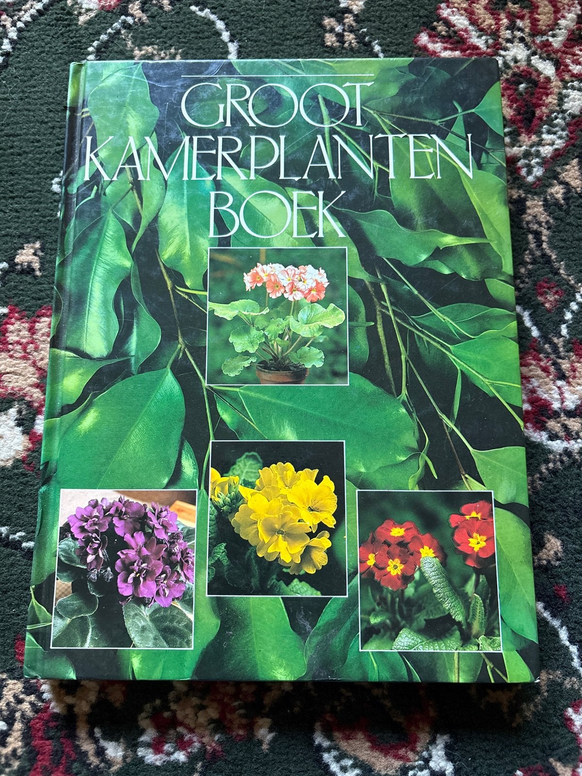 Groot Kamerplanten Boek - Meer dan 600 kleurenfoto's, Boeken, Ophalen of Verzenden, Gelezen, Kamerplanten