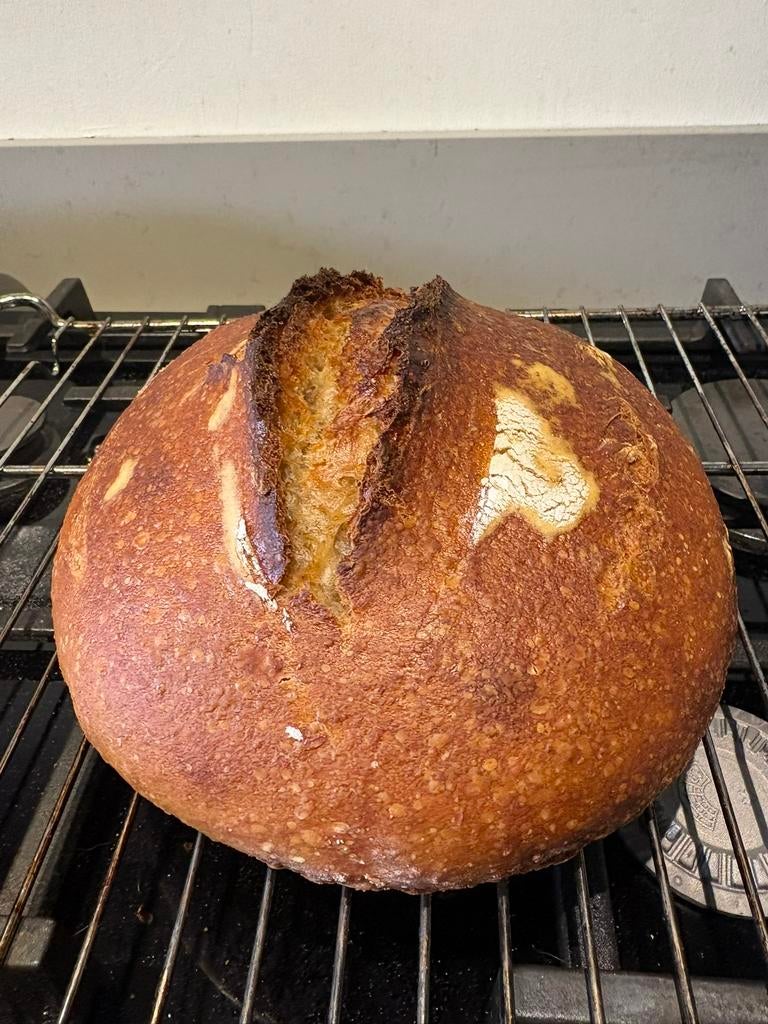 Zuurdesemstarter, Ophalen