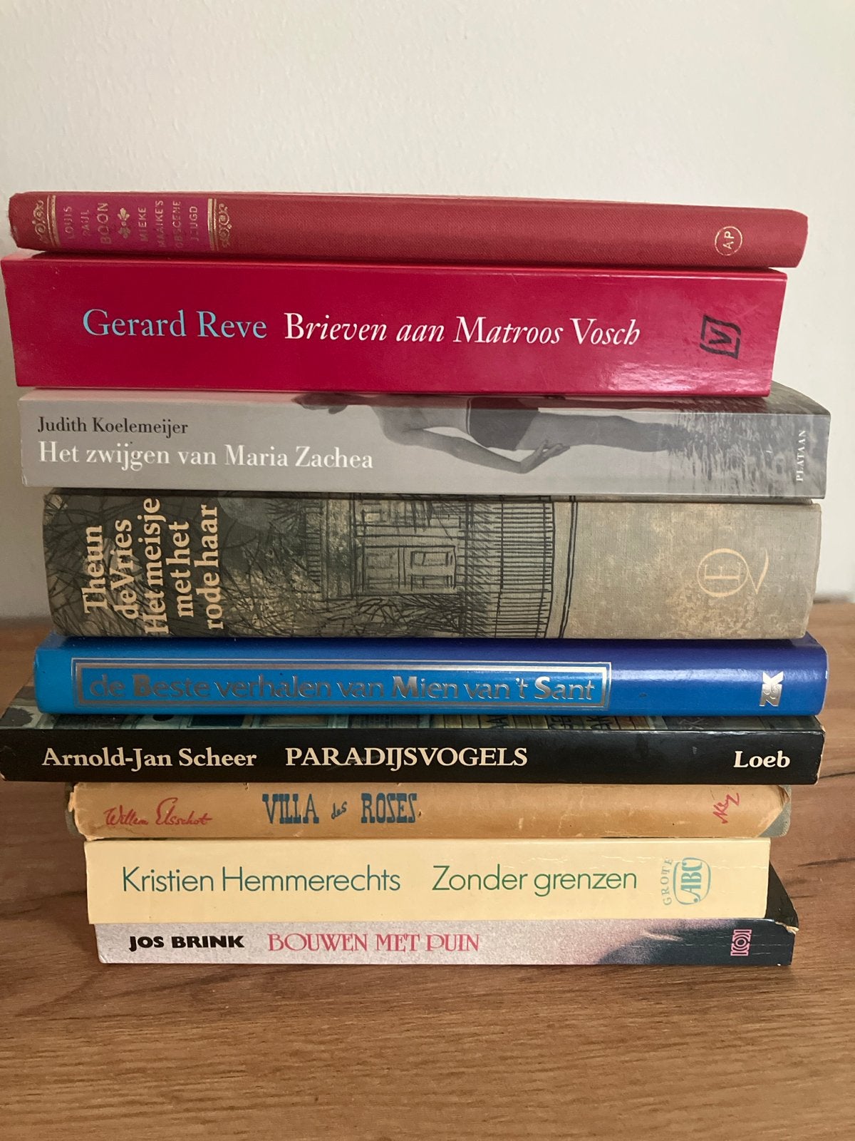 Diverse boeken: Gerard Reve, Louis Paul Boon, Theun de Vries, Ophalen of Verzenden, Gelezen, Nederland