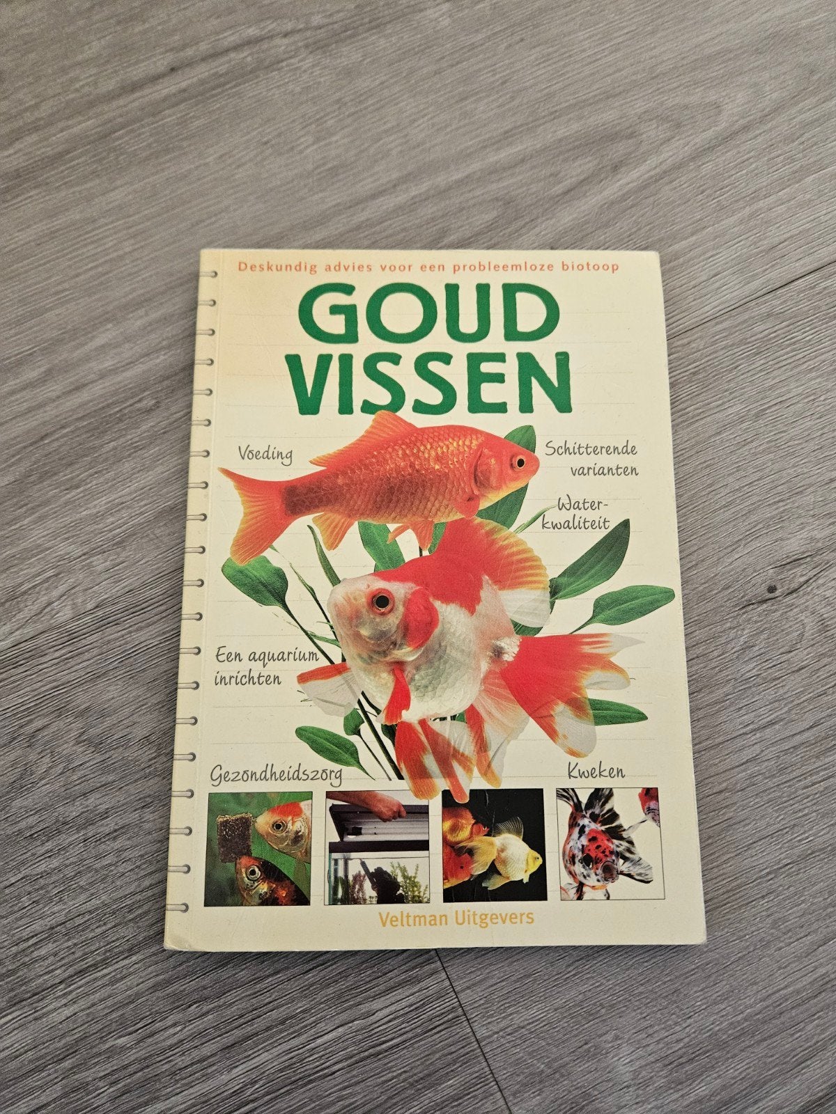 goudvissen, Ophalen of Verzenden, Zo goed als nieuw