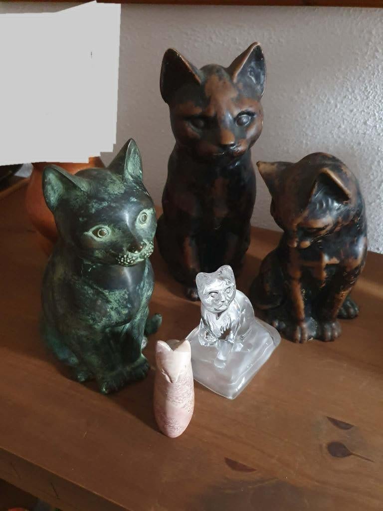 5 katten beeldjes, Ophalen, Zo goed als nieuw, Hond of Kat, Opgezet dier