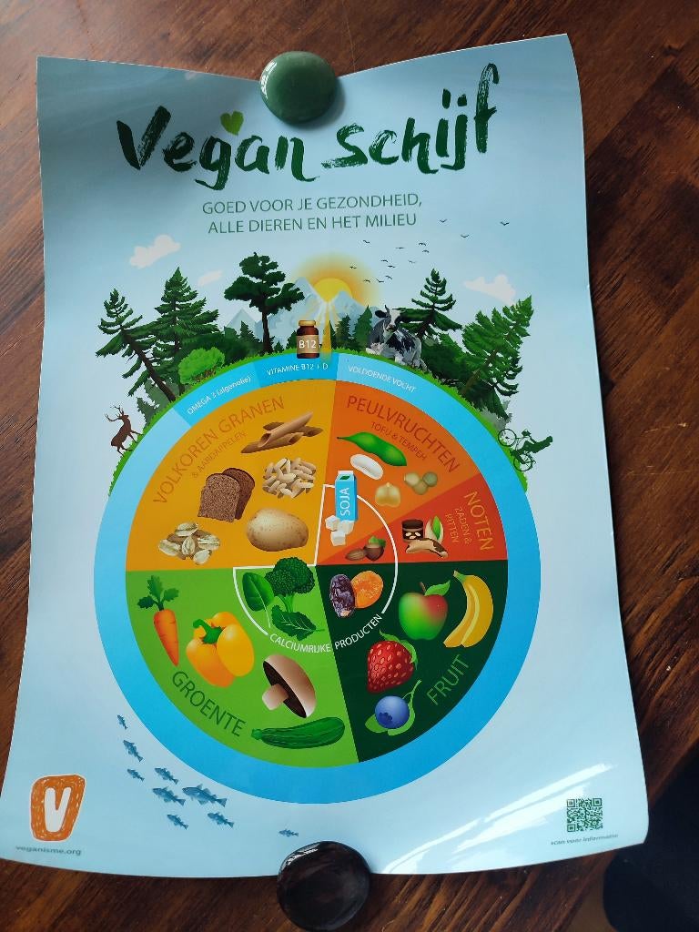 Poster "Vegan schijf" te koop!, Ophalen of Verzenden, Nieuw, A1 t/m A3, Overige onderwerpen