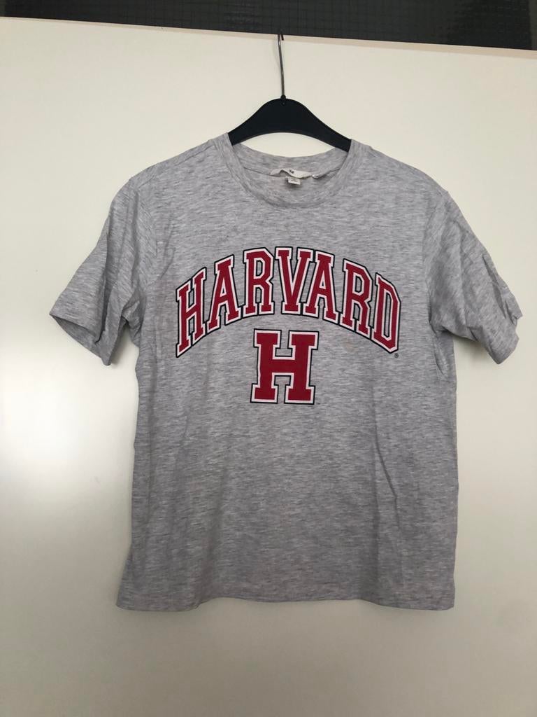 H&M Harvard T-shirt Grijs S, Ophalen of Verzenden, Zo goed als nieuw, Korte mouw, Maat 36 (S)