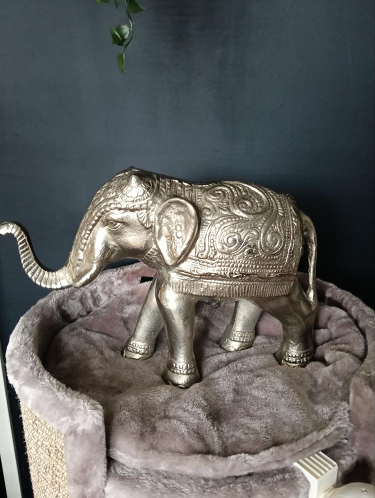 Mooie ruw zilveren olifant, Ophalen, Zo goed als nieuw