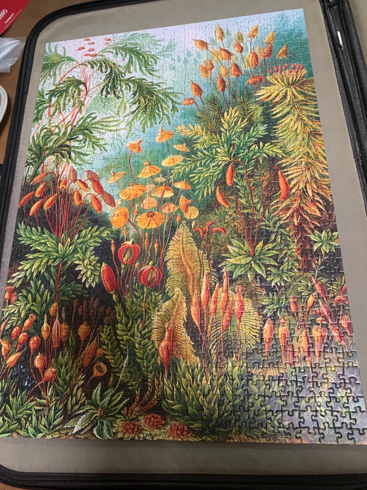 Legpuzzel 'Imagination' van Ernst Haeckel (1000 stukjes), Ophalen of Verzenden, 500 t/m 1500 stukjes, Zo goed als nieuw, Legpuzzel
