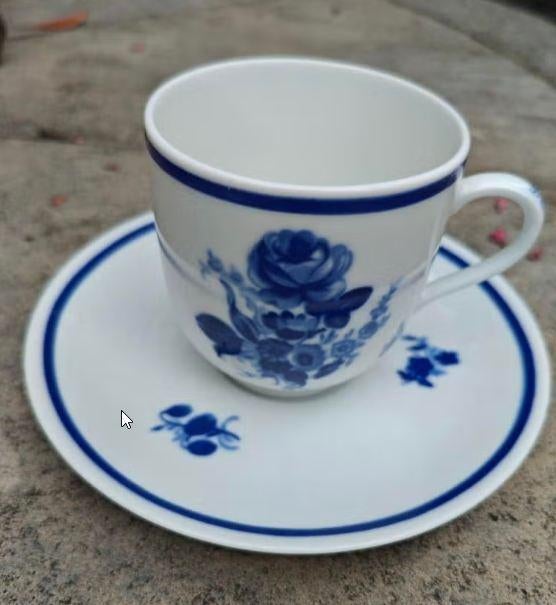 Winterling Roslau Bavaria porseleinen kop en schotel, Huis en Inrichting, Keuken | Servies, Ophalen of Verzenden, Zo goed als nieuw