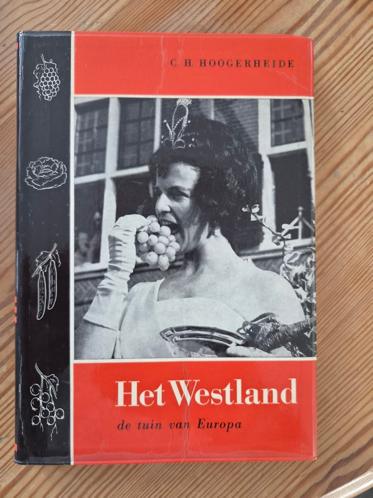 Het Westland: de tuin van Europa - C.H. Hoogerheide, Boeken, Ophalen of Verzenden, Gelezen, C.H. Hoogerheide