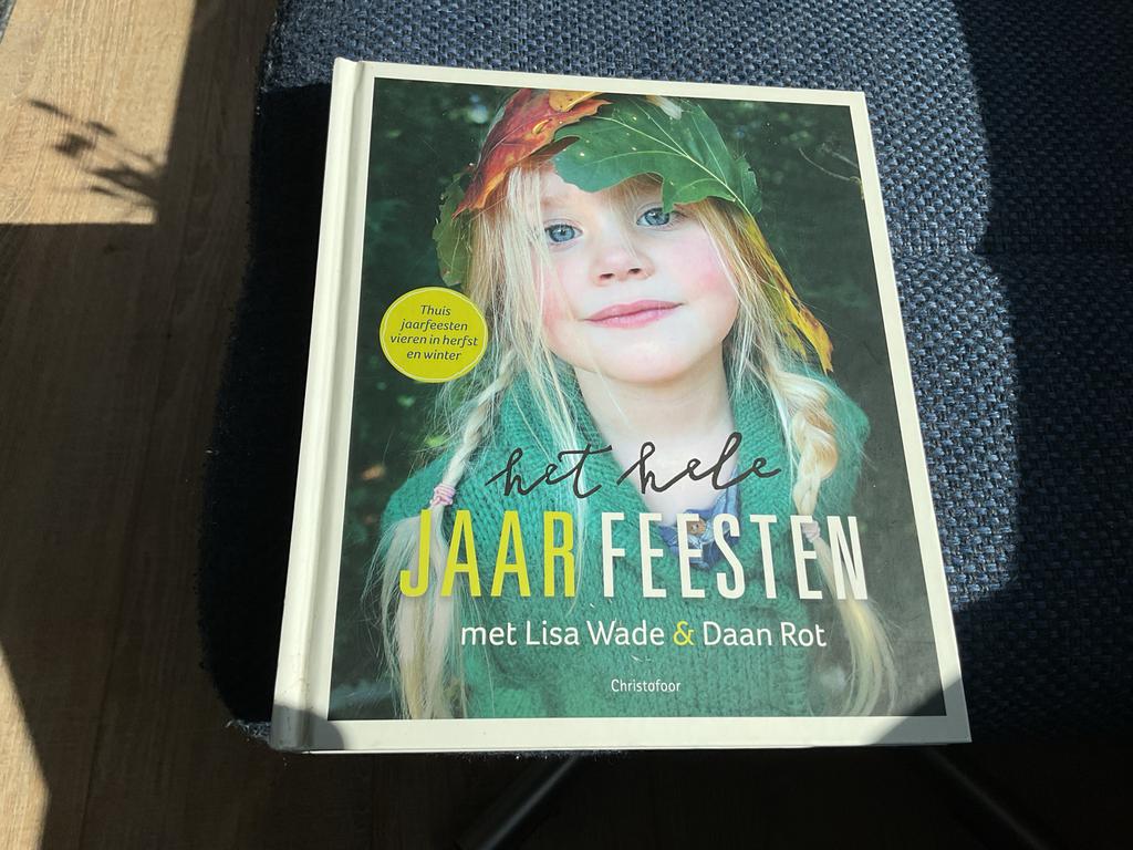 Het hele jaar feesten - Lisa Wade & Daan Rot, Ophalen of Verzenden, Zo goed als nieuw, Non-fictie