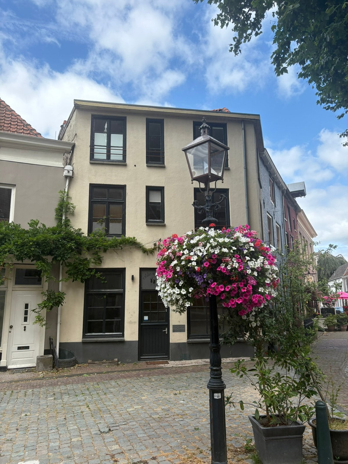 Twee woningen in historisch centrum Doesburg