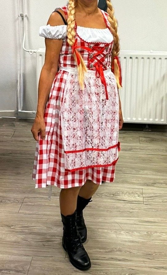Heidi Dirndl jurk rood wit geruit met schort en pruik, Maat 38/40 (M), Ophalen of Verzenden, Kleding, Overige thema's