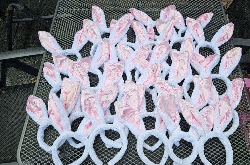 Bunny ears / konijnenoren, Ophalen of Verzenden, Zo goed als nieuw, Overige typen, Overige