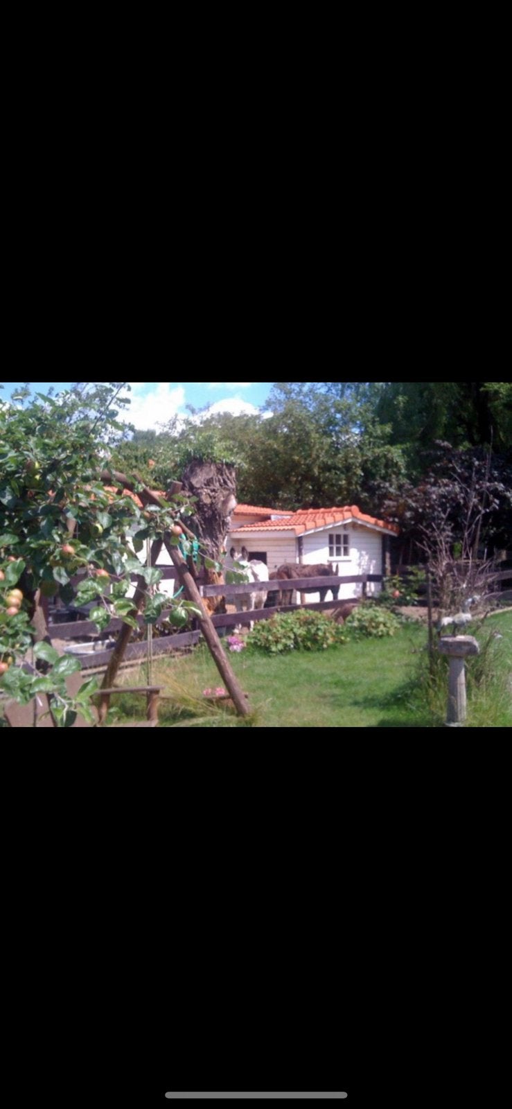 Groot Tuinhuis gratis af te halen .. zelf afbreken zsm, Tuin en Terras, Tuinhuizen, Ophalen of Verzenden, Gebruikt, 250 tot 500 cm