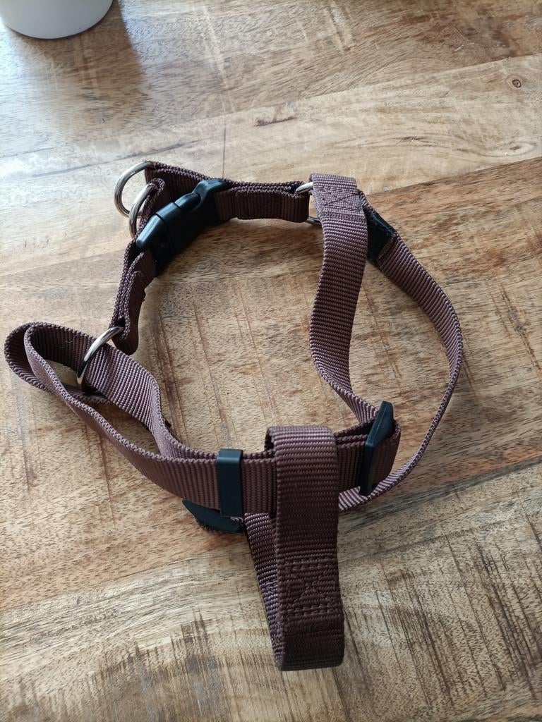 Puppy tuigje... Maat s ôf Kleine honden, Ophalen, Zo goed als nieuw