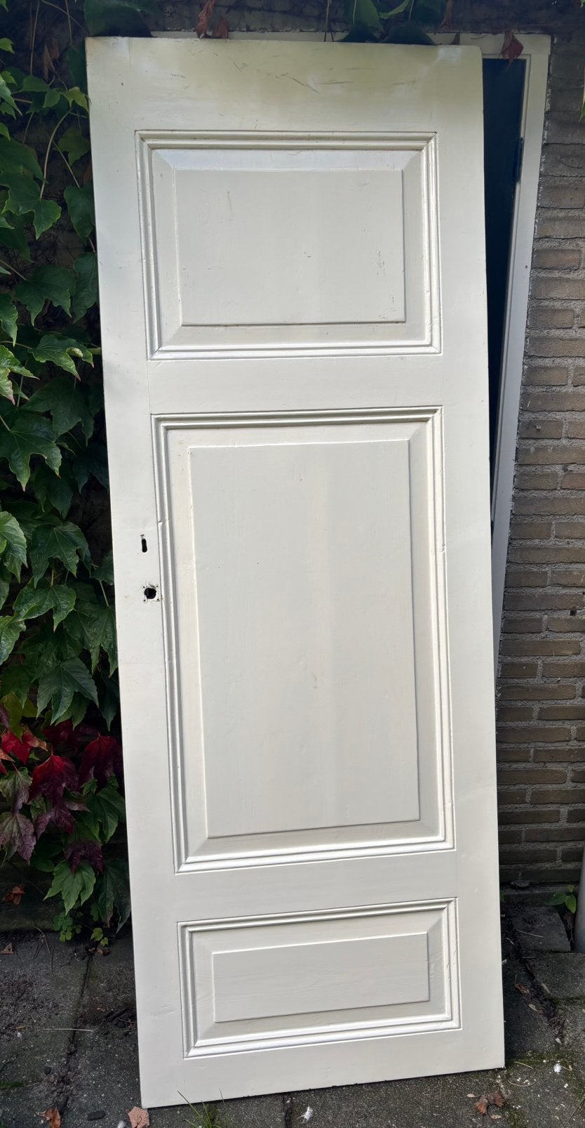 Authentieke houten paneeldeur 218x80 cm, Ophalen, Gebruikt, 80 tot 100 cm, 215 cm of meer