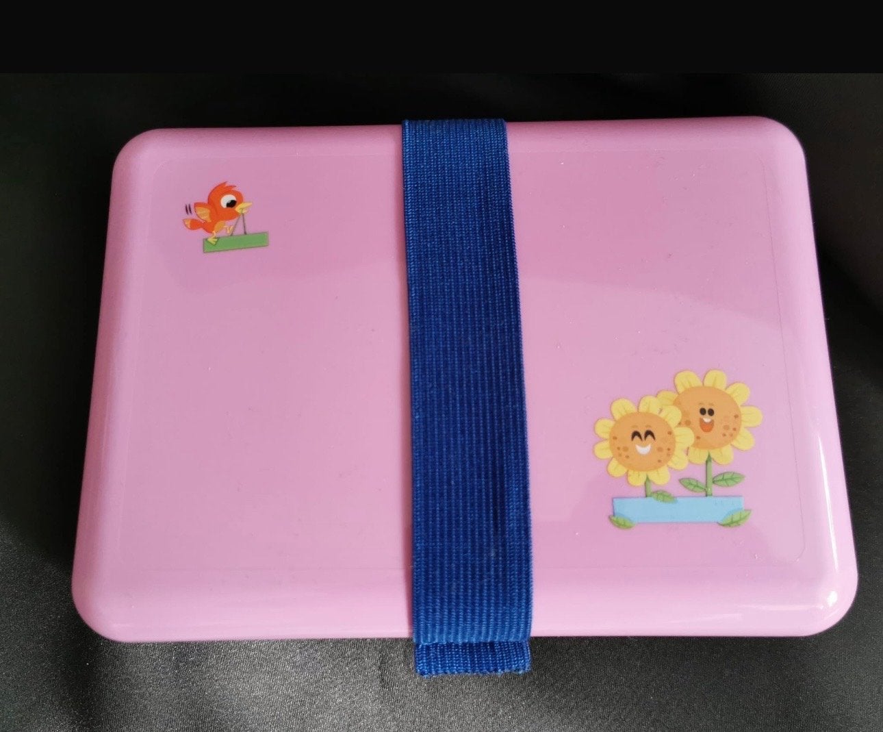 Vrolijke Roze Lunchbox met Band - Nieuw!, Ophalen of Verzenden, Nieuw