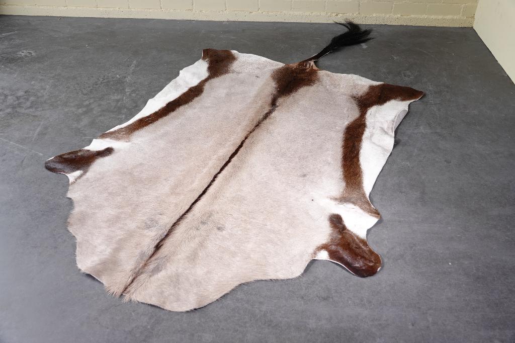 huid oryx taxidermy spiesbok antilope huid skin rug, Verzamelen, Dierenverzamelingen, Ophalen, Zo goed als nieuw, Hert, Gewei of Kop