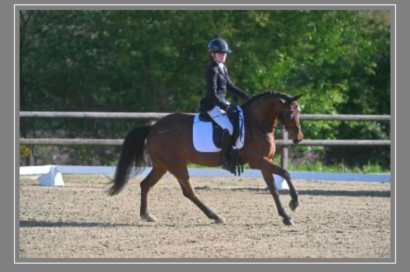 Fijne 5 jarige allround D-pony!, Dieren en Toebehoren, Pony's, Merrie, D pony (1.37m tot 1.48m), 3 tot 6 jaar