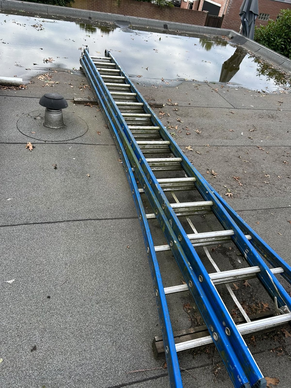 3 delige ladder 16x3 sporten, Gebruikt, Ophalen of Verzenden, Ladder, Opvouwbaar of Inschuifbaar