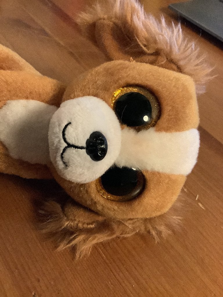 TY Beany Boo kunffel Tala de hond, 2017. 15 cm, Gebruikt, Met label, Ty, Hond