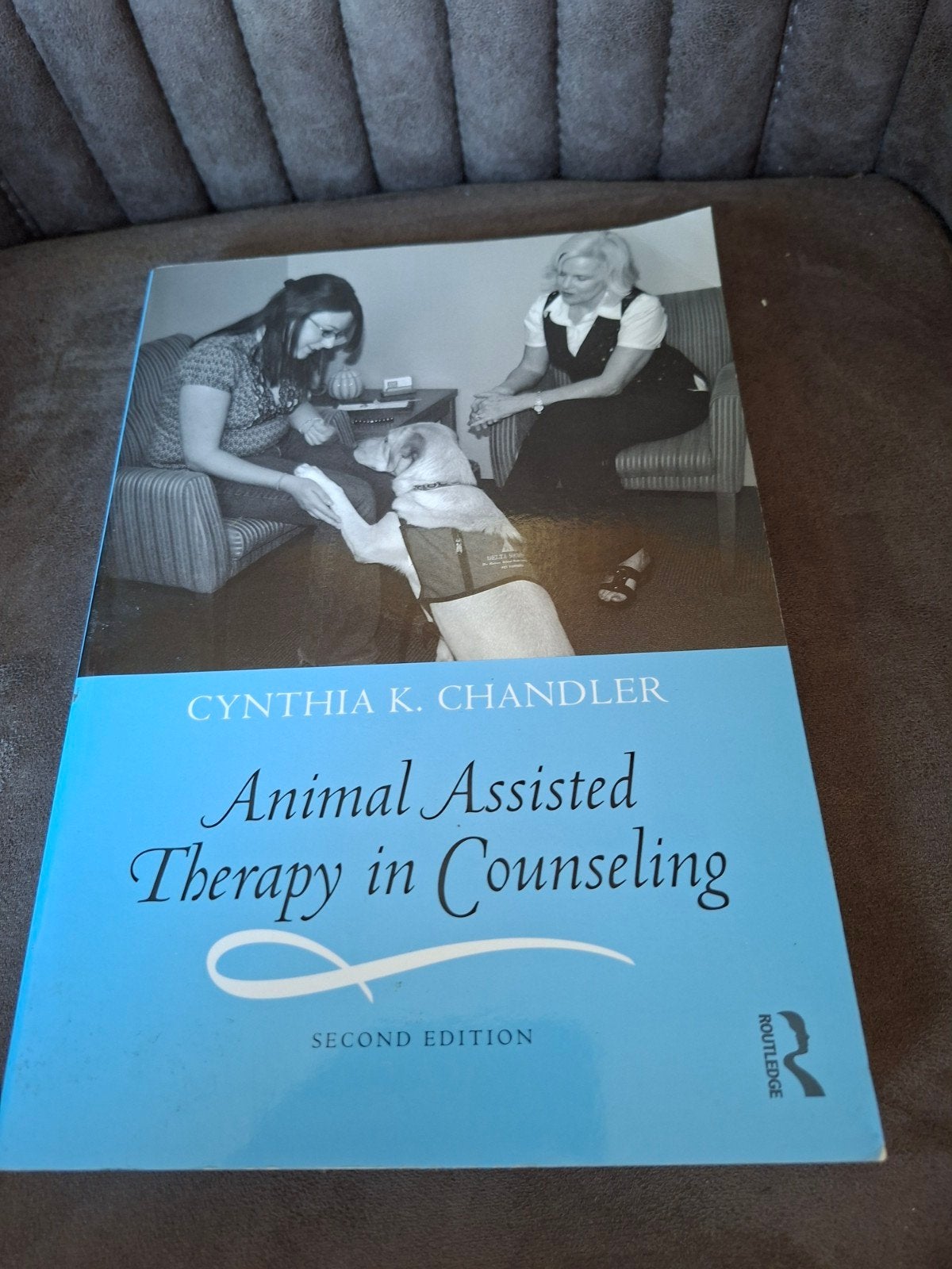 Animal Assisted Therapy in Counseling - Cynthia K. Chandler, Zo goed als nieuw, Cynthia K. Chandler, Gamma, HBO