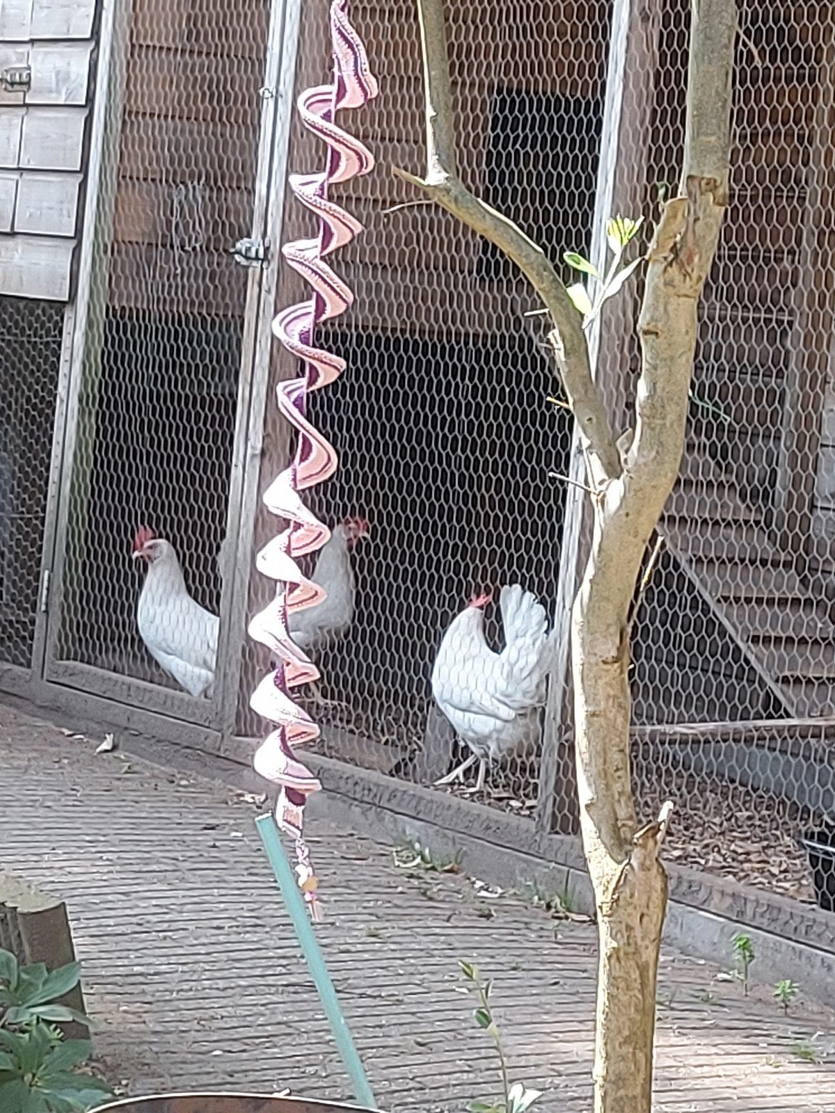 Mooie paars/lila windspinner, bijna 1 meter lang, Tuin en Terras, Tuinstekers, Ophalen of Verzenden, Nieuw