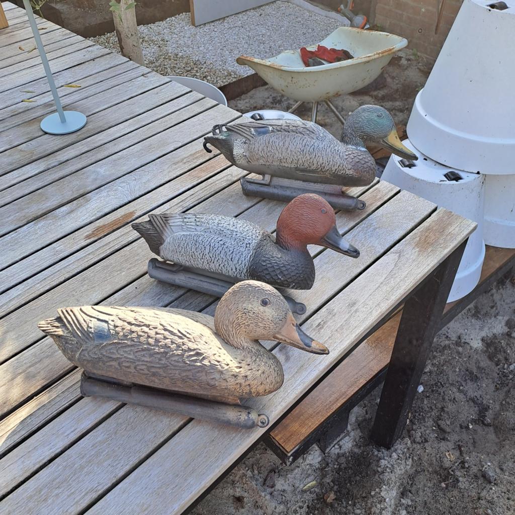 3x eend vijver, Ophalen of Verzenden