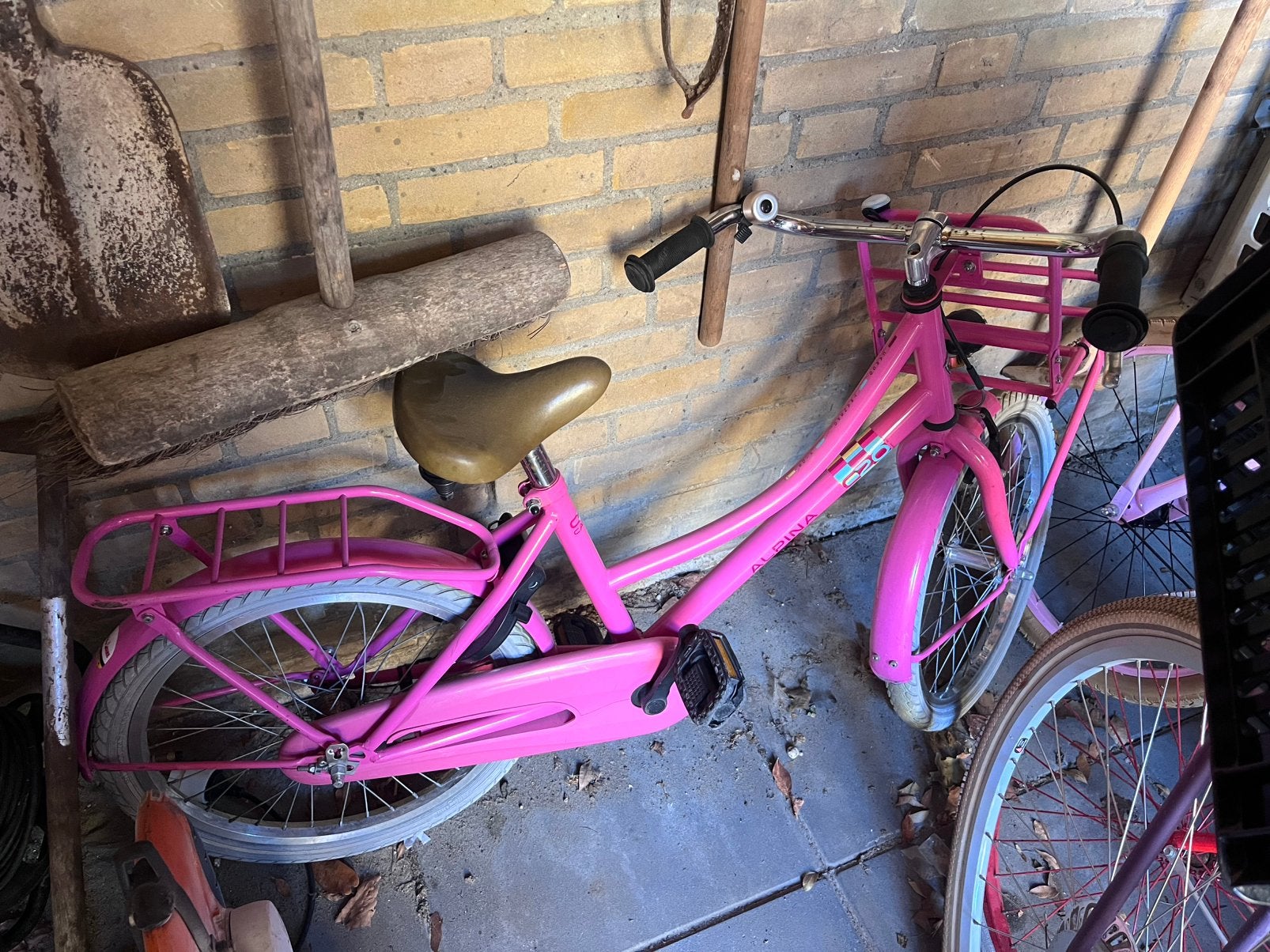 Roze meisjesfiets alpina 20 inch, Ophalen, Gebruikt, Terugtraprem, 20 inch