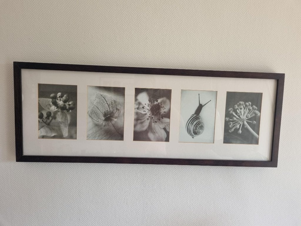 schilderij van Ikea, Ophalen, Gebruikt, Schilderij, 75 tot 100 cm