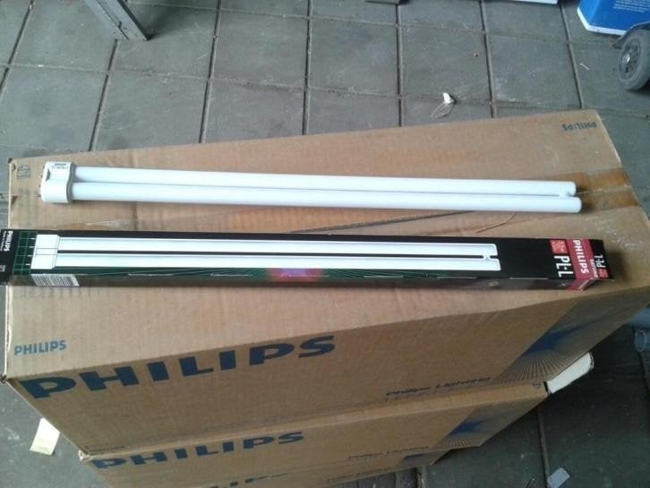 0337. Philips lamp PL-Ll 55w 830 4p, Ophalen, Nieuw, Overige fittingen, TL-buis
