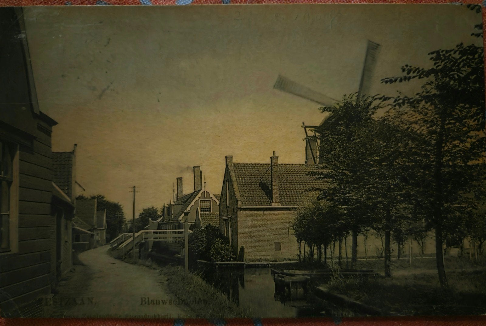 Westzaan molen de Blauwe Hengst, Ophalen of Verzenden, Voor 1940, Zo goed als nieuw, Overige onderwerpen