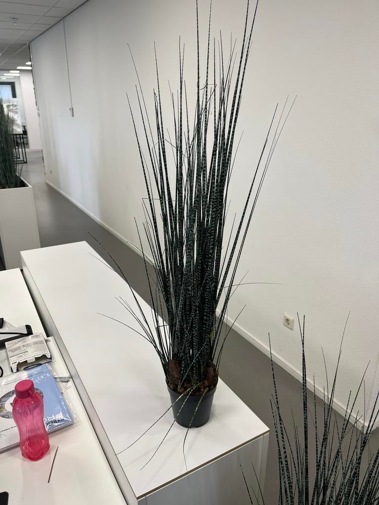 51x Kunstplanten - Ideaal voor kantoor of horeca, Ophalen, Binnen, Groen, Kunstplant