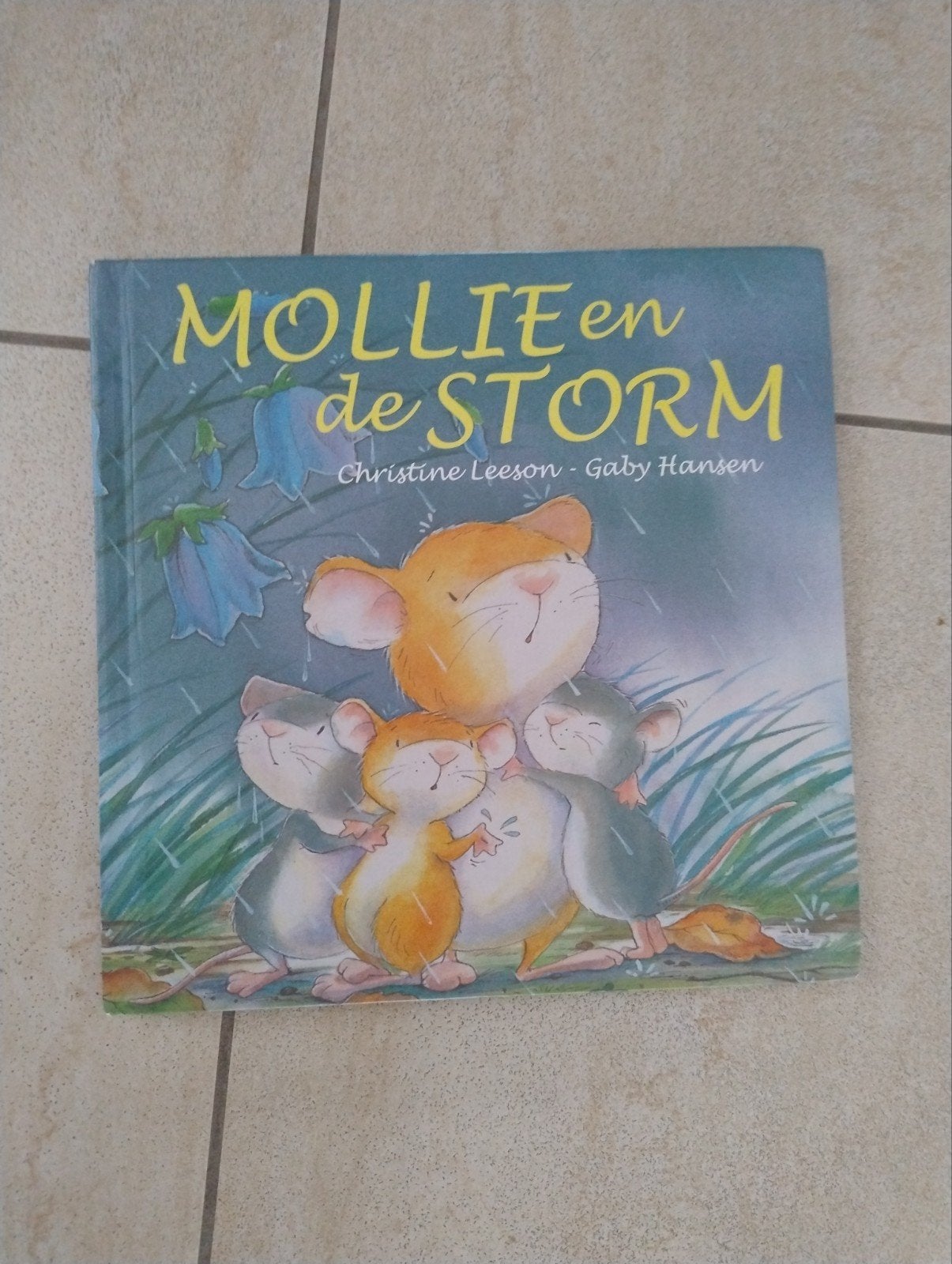 Mollie en de Storm - Kinderboek, Boeken, Ophalen of Verzenden, Zo goed als nieuw