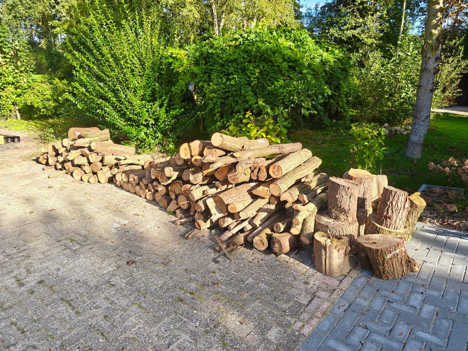 3.5 kuub gemixt haardhout: eik, berk, es, els populier, kers, 3 tot 6 m³, Ophalen, Eikenhout, Blokken