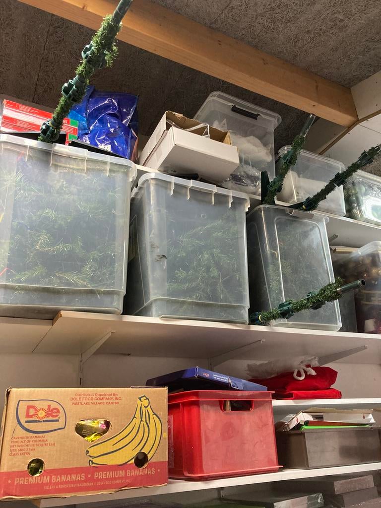 Kerstbomen 5 stuks met losse takken gratis, Diversen, Ophalen of Verzenden, Zo goed als nieuw