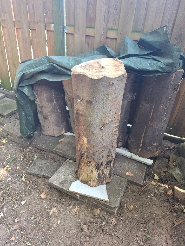Boomstammen, Tuin en Terras, Minder dan 3 m³, Ophalen of Verzenden, Overige houtsoorten, Stammen