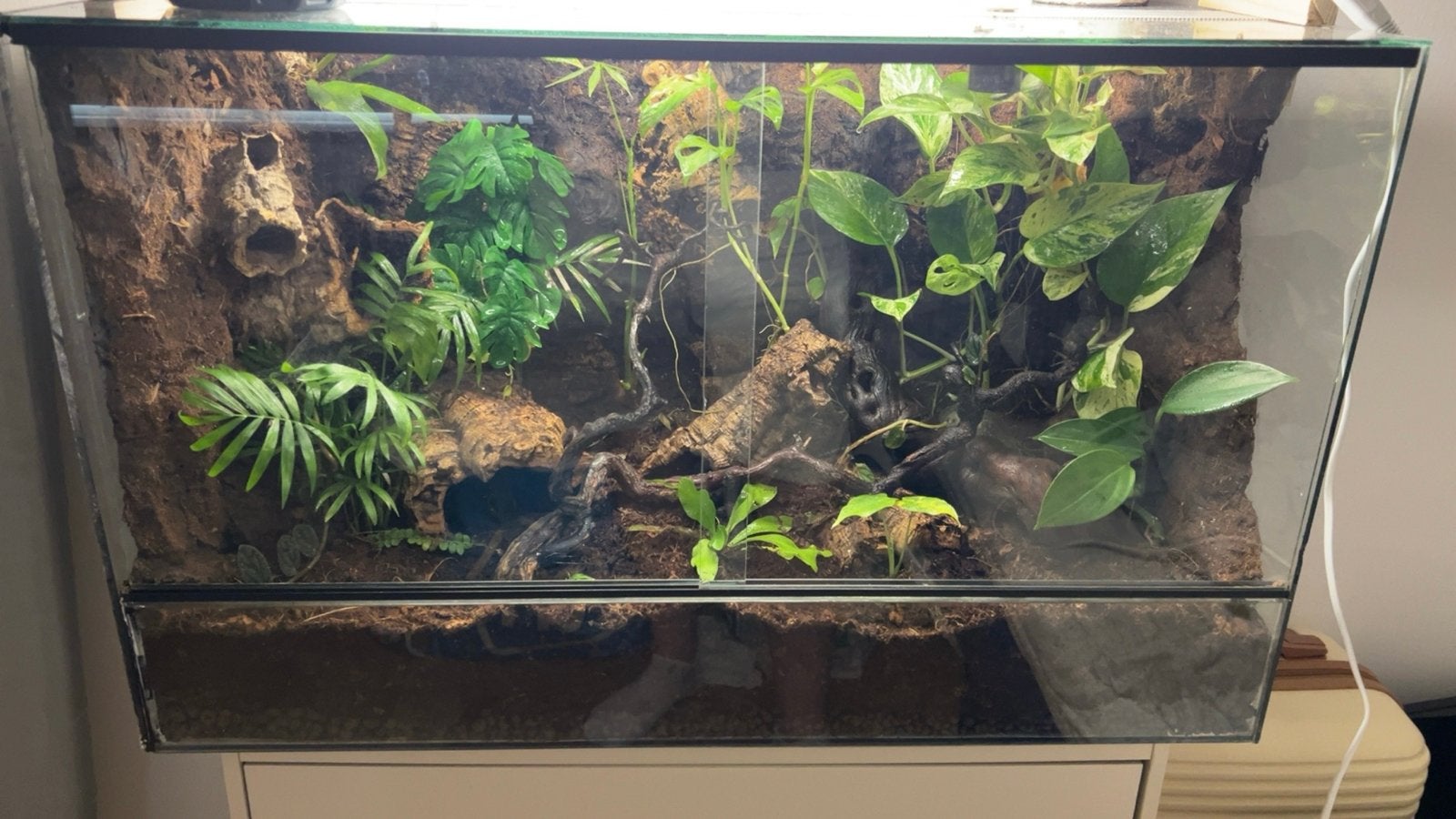 Terrarium bio active, Ophalen, Inclusief planten, Gebruikt, Leeg aquarium