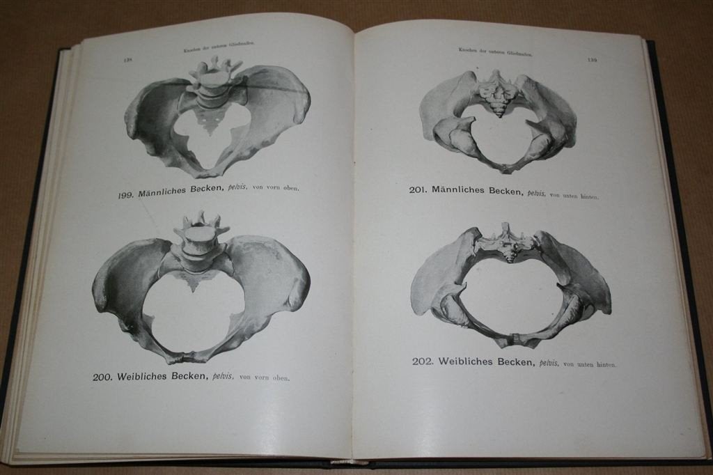 Handatlas Anatomie 1 — Oude uitg.1921 — Rijk geïllustreerd, Ophalen of Verzenden, Gelezen, Natuurwetenschap