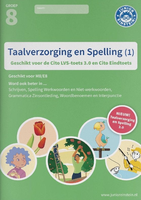 Taalverzorging en spelling deel 1 (groep 8), Ophalen, Zo goed als nieuw, Overige niveaus, Nederlands
